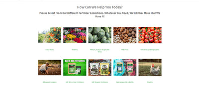 GRF Website Redesign