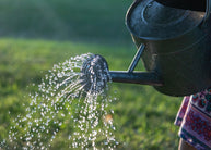 Why Water Is So Important