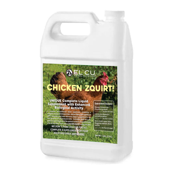 Chicken Zquirt - Liquid Supplement for Your Two Legged Friends!