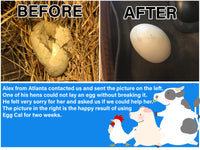 Egg-Cal : Liquid Vitamin for Hens Having Difficulty Laying Eggs (1 Gallon)
